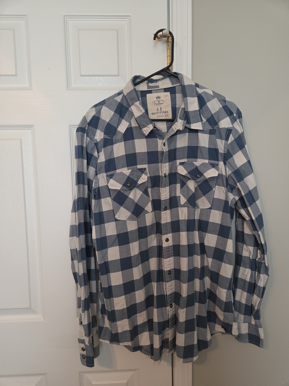 American Eagle Outfitters Blue and White Plaid Button-Down Shirt